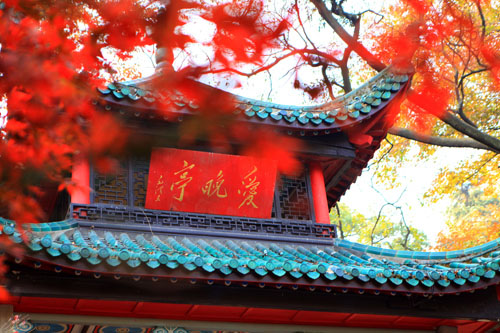 &#27431;&#23453;&#32593;&#39029;&#29256;&#30331;&#24405;&#20837;&#21475;&#45;&#27431;&#23453;&#40;&#20013;&#22269;&#41;